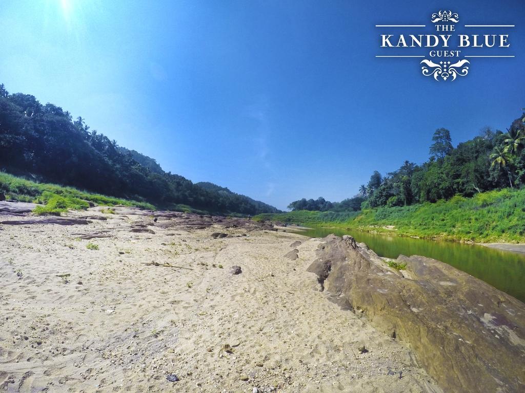 Kandy Blue Dış mekan fotoğraf
