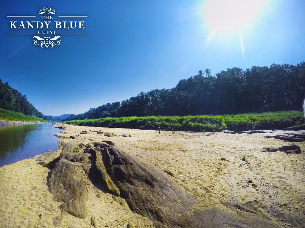 Kandy Blue Dış mekan fotoğraf